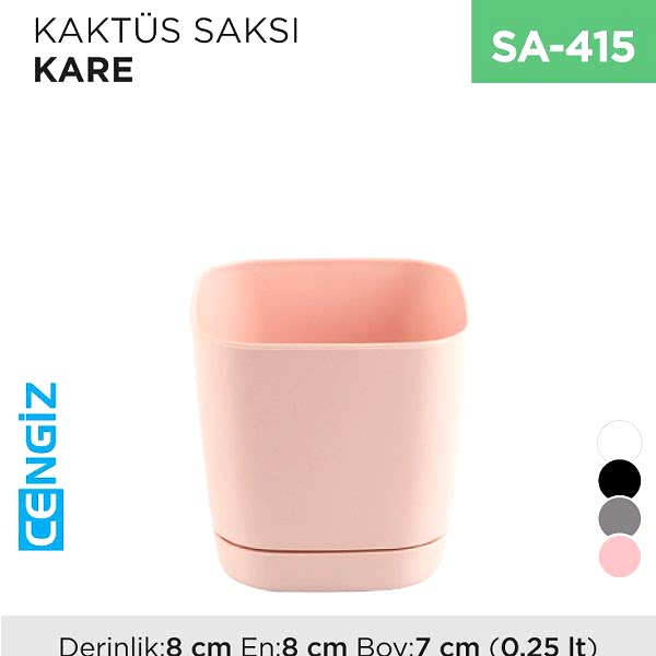 KAKTÜS SAKSI KARE (0.25 LT)